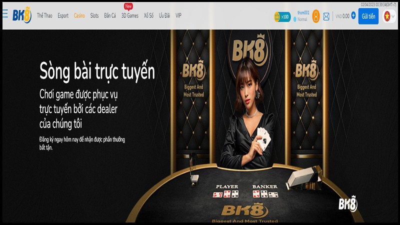 Giới thiệu casin BK8 - Sòng bài trực tuyến hot nhất 2023